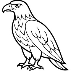 Clean & Sharp Eagle Line Art