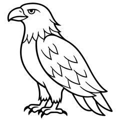 Clean & Sharp Eagle Line Art