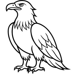 Clean & Sharp Eagle Line Art