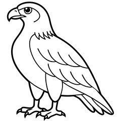 Clean & Sharp Eagle Line Art