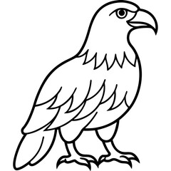 Clean & Sharp Eagle Line Art