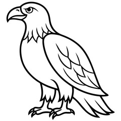 Clean & Sharp Eagle Line Art