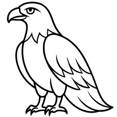 Clean & Sharp Eagle Line Art