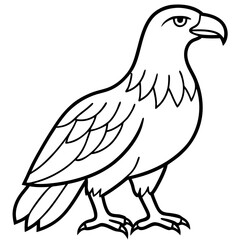 Clean & Sharp Eagle Line Art