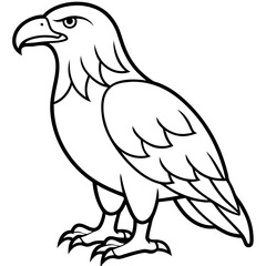 Clean & Sharp Eagle Line Art