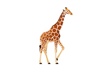 Obraz premium giraffe isolated on white