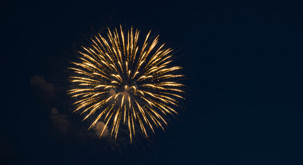 Stunning Golden Fireworks Display at Night