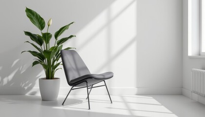 A sleek modern chair with clean lines and a minimalist design sits against a crisp white wall background, complemented by a vibrant Amazon Lily plant in full bloom