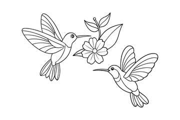 Obraz premium hummingbird and flower