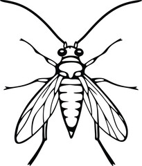 vector mosquito isolated on white