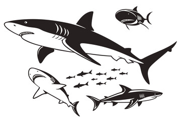 Adobe Illustrator Artwork