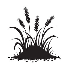 Nature’s Harvest The Beauty of Wheat and Grass in Silhouette Vector White Background 
