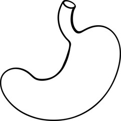 Stomach Icon On White Background Vector Art