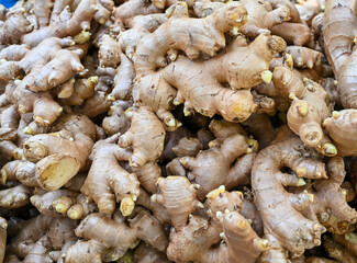 Ginger can be processed into many types of food.