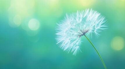 Close-Up of Feathery Grass Stalk with Seed Head Against Blurred Green Background, Natural Beauty