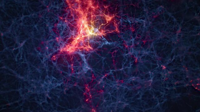 Fly trough of the digital brain with visible internal structure