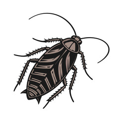 : A Cockroach vector art illustration.
