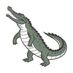 Crocodile