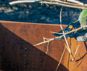 Close-up of a farmer's hand in a green work glove using pruner. A gardener trims dead tree branches...