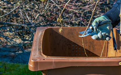 Close-up of a farmer's hand in a green work glove using pruner. A gardener trims dead tree branches in fall and spring using pruning shears to prune trees and bushes.