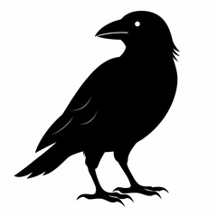 Dark Crow Silhouette Graphic