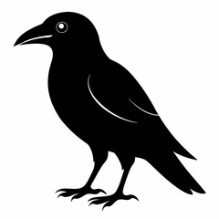 Dark Crow Silhouette Graphic