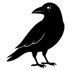 Dark Crow Silhouette Graphic