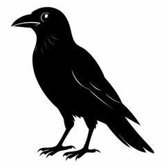Dark Crow Silhouette Graphic