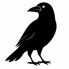 Dark Crow Silhouette Graphic