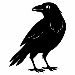 Dark Crow Silhouette Graphic