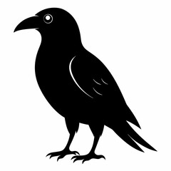 Dark Crow Silhouette Graphic