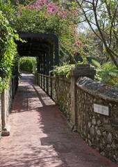 Gibraltar, United Kingdom - Mar 26, 2025: Walking in Gibraltar. Botanic Gardens. Streets, buildings. Lifestyle in the urban area. Sunny spring day. Selective focus