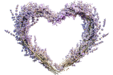 Lavender heart shape arrangement, white isolate background.
