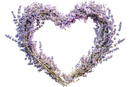 Lavender heart shape arrangement, white isolate background.