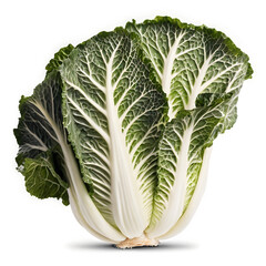 cabbage isolated on white background