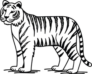 white tiger vector