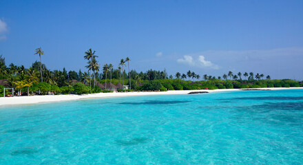 exotic tropical island on the maldives