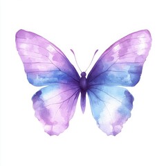 Obraz premium Watercolor painting of a purple butterfly set against a solitary white backdrop