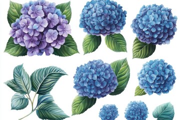 The watercolor painting includes blue hydrangea flowers, their branches, and leaves