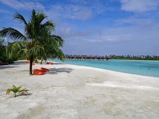 exotic tropical island on the maldives