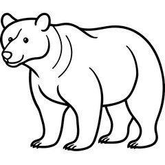 Elegant Bear Outline Illustration