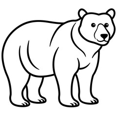 Elegant Bear Outline Illustration