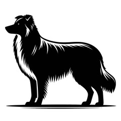 Collie silhouette: A striking black and white silhouette captures the elegance and poised stature of a collie dog, highlighting its characteristic long fur and graceful form.