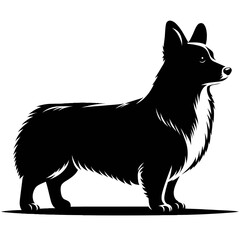 Fototapeta premium Elegant Corgi Silhouette: A sleek, black and white silhouette of a Pembroke Welsh Corgi dog, standing with dignified poise and showcasing its distinctive features against a pristine backdrop.