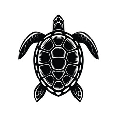 Fototapeta premium Sea turtle icon silhouette vector with white background