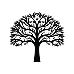 Snow covered tree icon silhouette vector with white background