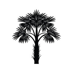 Obraz premium Traveler's palm tree icon silhouette vector with white background