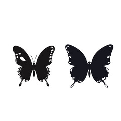 butterfly isolated on white