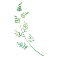 branch with green leaves