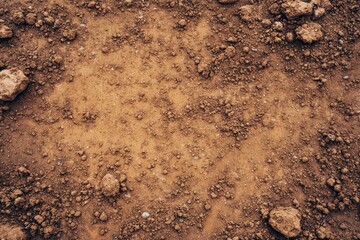 Textured Brown Baseball Field Surface. An Abstract Look at Dirt Patterns in the Infield